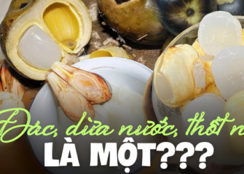 Quả đác, dừa nước và thốt nốt giống và khác nhau thế nào mà sao nhiều người nhầm lẫn? Làm sao phân biệt?