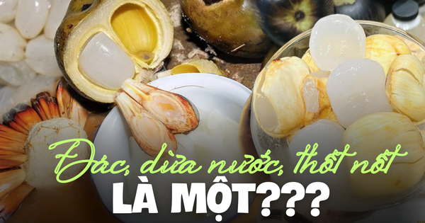 Quả đác, dừa nước và thốt nốt giống và khác nhau thế nào mà sao nhiều người nhầm lẫn? Làm sao phân biệt?