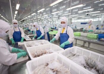 Doanh số Sao Ta đạt 95 triệu USD trong 6 tháng