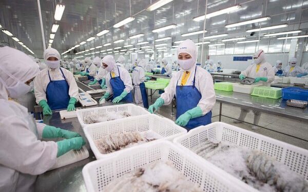 Doanh số Sao Ta đạt 95 triệu USD trong 6 tháng