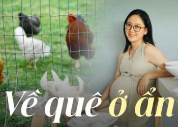 Nữ thạc sĩ rời thành phố ồn ào, về quê sống, hàng ngày làm gốm, nuôi gà, trồng rau: “Cuộc sống của tôi không còn lo âu”