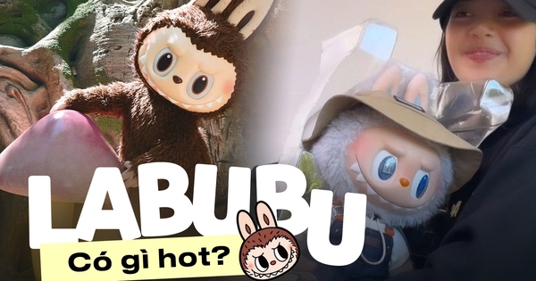 Tất tần tật những điều cần biết về con “quái vật” tai dài – răng nhọn – nhiều lông đang được săn lùng ráo riết hiện nay