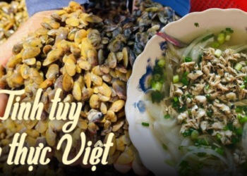 Mùa don về trên sông Trà Khúc – đặc sản “độc bản” gây thương nhớ bao tín đồ ẩm thực của vùng Quảng Ngãi
