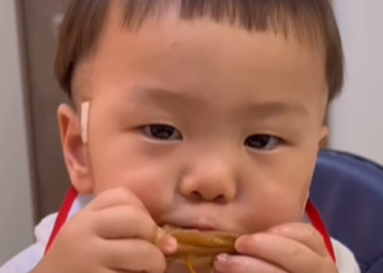 Cậu bé người Nhật chỉ nín khóc khi nhìn thấy đồ ăn, mukbang món nào cũng “cuốn”, hội chị em “xin vía” gấp