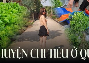 Mẹ 3 con kể chuyện chi tiêu ở ngoại thành Hà Nội: Nhiều thực phẩm giá cao không kém nội thành, biết cách mua và tự trồng rau, nuôi gà thì mới tiết kiệm!