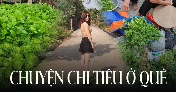 Mẹ 3 con kể chuyện chi tiêu ở ngoại thành Hà Nội: Nhiều thực phẩm giá cao không kém nội thành, biết cách mua và tự trồng rau, nuôi gà thì mới tiết kiệm!