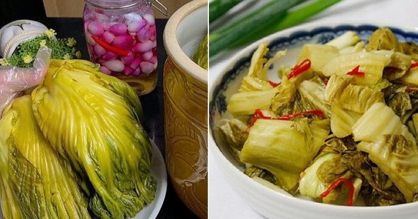 Vì sao dưa muối bị khú?