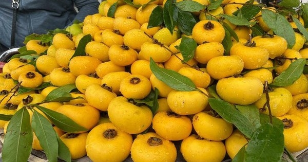 Khách lùng mua, thị sáp đầu mùa giá siêu đắt vẫn ‘cháy hàng’