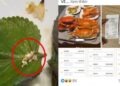 Một loạt nhà hàng buffet liên tục dính “phốt”: Người tố nhân viên “đuổi” khách, kẻ ăn xong nhập viện cấp cứu