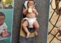Người cha là KOL rèn luyện con trai mới biết đi một cách thô bạo bị cư dân mạng chỉ trích dữ dội