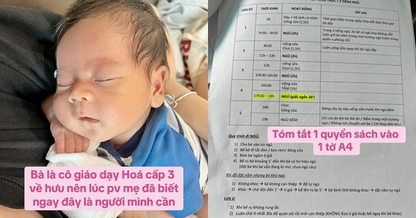 Chi 8 triệu thuê giáo viên dạy Hóa nghỉ hưu làm giúp việc: Yêu cầu chăm con theo Easy, có nhật ký từng ngày