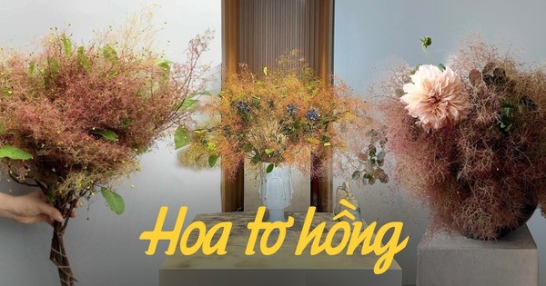 Kỳ lạ loài hoa như mái tóc rối khiến khách hàng nữ lùng mua bằng được: Giá rẻ nhưng cắm lên bình “nghệ” vô cùng