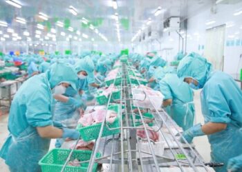 Tập đoàn Sao Mai và IDI chốt ngày tăng vốn