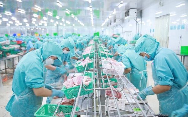Tập đoàn Sao Mai và IDI chốt ngày tăng vốn