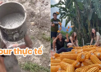 Một kiểu du lịch “độc nhất vô nhị” ở Việt Nam: Khách Tây bỏ tiền để được làm những việc không ngờ tới