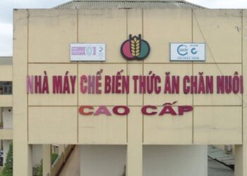 Dabaco chốt quyền chào bán 80 triệu cổ phiếu với giá phân nửa thị trường