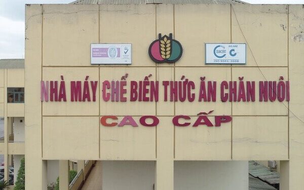 Dabaco chốt quyền chào bán 80 triệu cổ phiếu với giá phân nửa thị trường