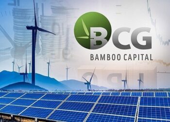 Bamboo Capital sắp phát hành 80 triệu cổ phiếu thưởng