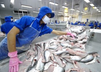 Thuỷ sản Nam Việt muốn tăng vốn gấp đôi