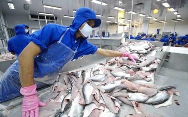 Thuỷ sản Nam Việt muốn tăng vốn gấp đôi