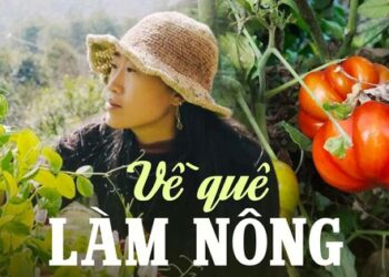 Cô gái 33 tuổi về quê làm ruộng: Tự do cả về vật chất lẫn tinh thần