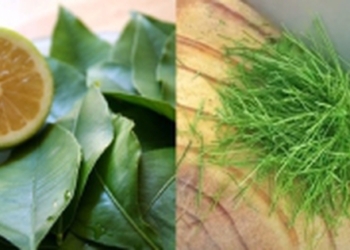 Mẹo thái lá chanh nhỏ hơn sợi chỉ