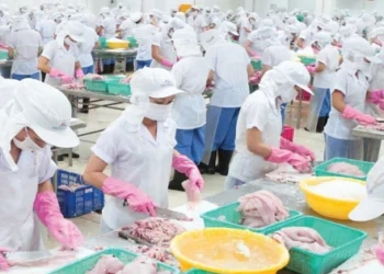 Thủy sản Mekong lỗ 4 quý liên tiếp