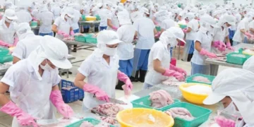 Thủy sản Mekong lỗ 4 quý liên tiếp