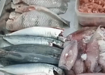 Mẹ 2 con ở Đồng Nai đã áp dụng cách đi chợ này để “bớt mua tào lao” và có thời gian “làm biếng”