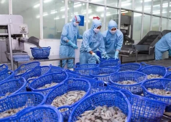 Sao Ta ước lãi trước thuế 134 tỷ nửa đầu năm