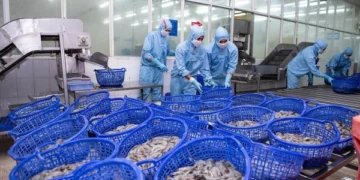 Sao Ta ước lãi trước thuế 134 tỷ nửa đầu năm