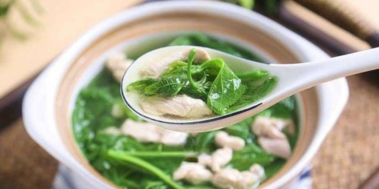 Loại lá này mệnh danh là “báu vật bổ gan”: Nếu gặp hãy hái một nắm tươi non dùng nấu canh rất ngon, bổ dưỡng và đẹp da