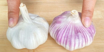 “Khi mua tỏi, loại vỏ trắng hay vỏ tím tốt hơn?”: Lão nông trồng tỏi tiết lộ sự thật