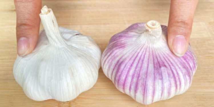 “Khi mua tỏi, loại vỏ trắng hay vỏ tím tốt hơn?”: Lão nông trồng tỏi tiết lộ sự thật