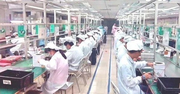 Đức Long Gia Lai muốn bán mảng kinh doanh lớn nhất
