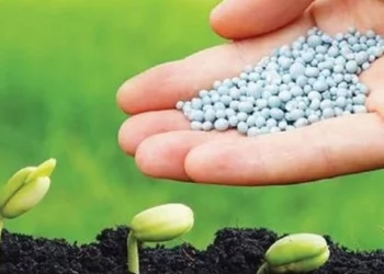 Doanh nghiệp phân bón lãi đậm, kỳ vọng vào thuế VAT