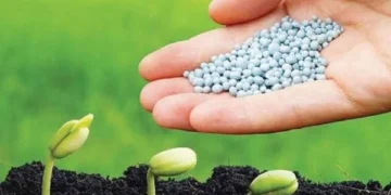 Doanh nghiệp phân bón lãi đậm, kỳ vọng vào thuế VAT