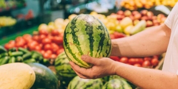 Vì sao vỗ vào quả dưa hấu là biết được quả nào ngon ngọt?