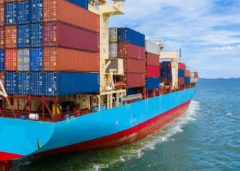 Doanh nghiệp vận tải biển thoát lỗ nhờ bán tàu, có đơn vị cảng biển giảm lãi vì hụt cổ tức
