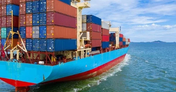 Doanh nghiệp vận tải biển thoát lỗ nhờ bán tàu, có đơn vị cảng biển giảm lãi vì hụt cổ tức